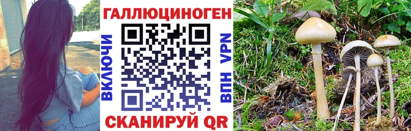 Псилоцибиновые грибы ЛСД  наркотики  Краснотурьинск 