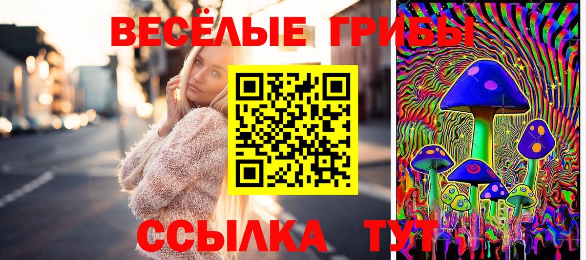 Краснотурьинск  Галлюциногенные грибы Psilocybe  Вход с VPN 