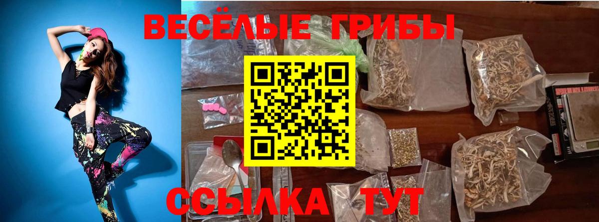Галлюциногенные грибы GOLDEN TEACHER Краснотурьинск